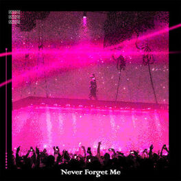 Album cover of Never Forget Me