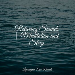 Album cover of Relaxing Sounds | Meditation and Sleep