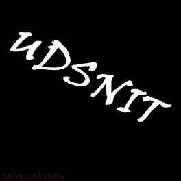 Album cover of Udsnit
