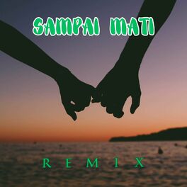 Album cover of DJ SAMPAI MATI