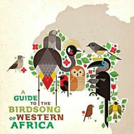 Album cover of A Guide to the Birdsong of Western Africa