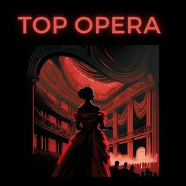 Album cover of Top Opera