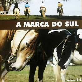 Album cover of A Marca do Sul, Vol. 14