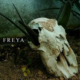 Album cover of Freya