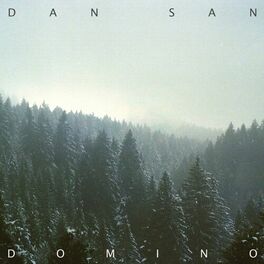 Album cover of Domino