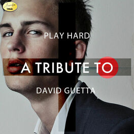 Album cover of Play Hard: A Tribute to David Guetta