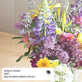 Album cover of Eau du bain (mémo vocal)