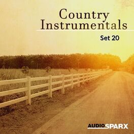 Album cover of Country Instrumentals, Set 20
