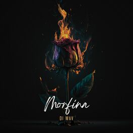 Album cover of Morfina