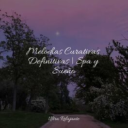 Album cover of Melodías Curativas Definitivas | Spa y Sueño