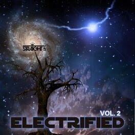 Album cover of Electrified Vol. 2