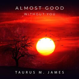 Album cover of Almost Good Without You