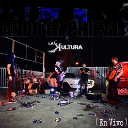 Album cover of Ando en Chicali (En Vivo)