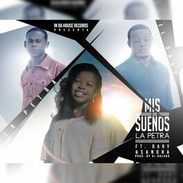 Album cover of Mis Sueños (feat. Dary & Sandra)