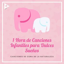 Album cover of 1 Hora de Canciones Infantiles para Dulces Sueños