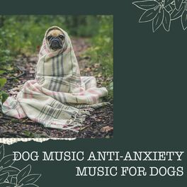 anti anxiety dog music