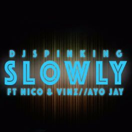 Album cover of Slowly (feat. Nico & Vinz, Ayo Jay)