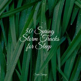 Album cover of 50 Spring Storm Tracks for Sleep