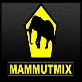 Album cover of Mammutmix (feat. Aytee, Casa, Das K-Element, Der Asiate, Diverse, EnteTainment, Gary Washington, Gio, GReeeN, Laskah, Perplexx23, 