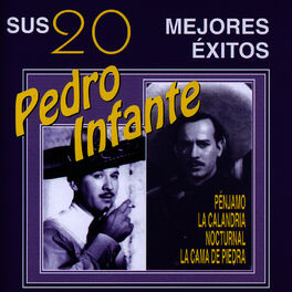 Album cover of Sus 20 Mejores Éxitos