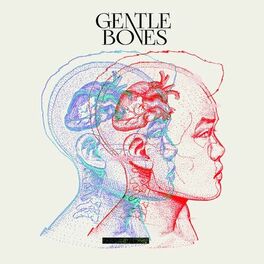 Album cover of Gentle Bones