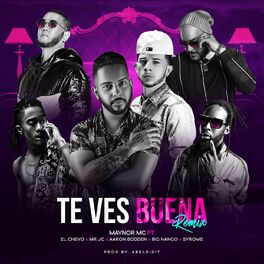 Album cover of Te Ves Buena (Remix)