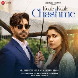 Album cover of Kaale Kaale Chashme
