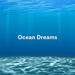 Album cover of Ocean Dreams