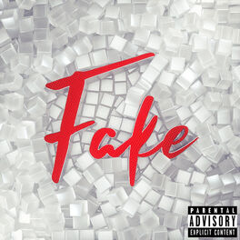 Album cover of Fake