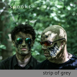 Album cover of Strip of Grey