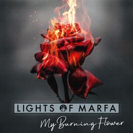 Album cover of My Burning Flower