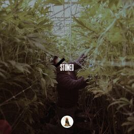 Album cover of Stoned