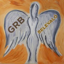 Album cover of Belevaló