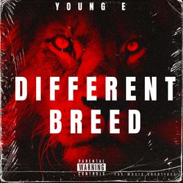 Album cover of Different Breed