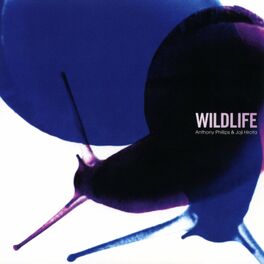 Album cover of Wildlife (2023 Remaster)