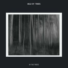 Album cover of In the Trees