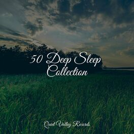Album cover of 50 Deep Sleep Collection