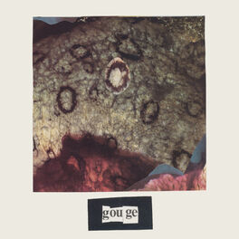 Album cover of Gouge