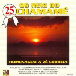 Album cover of 25 Sucessos: Os Reis do Chamamé (Homenagem a Zé Correia)