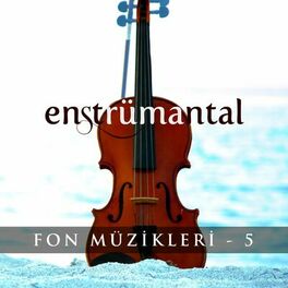 Album cover of Enstrümantal Fon Müzikleri 5