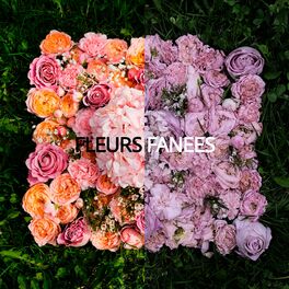 Album cover of Fleurs fanees
