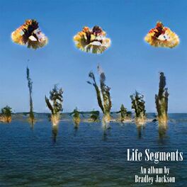 Album cover of Life Segments