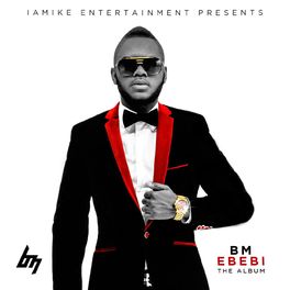 Album cover of Ebebi the Album
