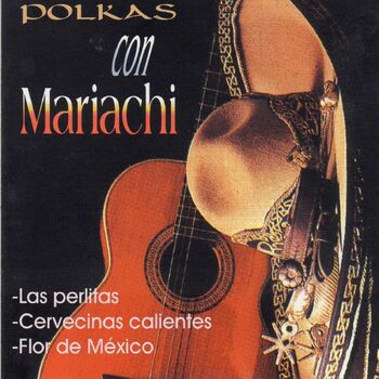 Polkas Con Mariachi - La Segunda de Rosales: Canción con letra | Deezer