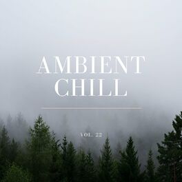 Album cover of Ambient Chill, Vol. 22