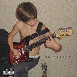 Album cover of Unplugged