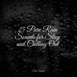 Album cover of 25 Pure Rain Sounds for Sleep and Chilling Out