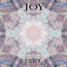 Album cover of JOY