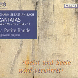 Album cover of Bach, J.S.: Cantatas, Vol. 5 - Bwv 17, 35, 164, 179
