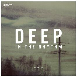 Album cover of Deep in the Rhythm, Vol. 36